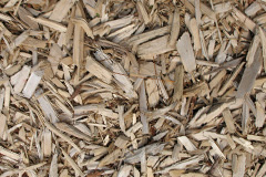 biomass boilers Llanallgo